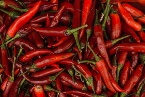 Traitement punaises de lit Cayenne